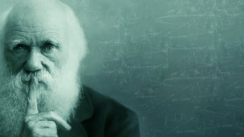 A vállalatirányítási rendszerek bevezetése és üzemeltetése kapcsán számtalan különböző iparágban dolgozó, különböző méretű ügyfél információs igényeit ismertük meg.